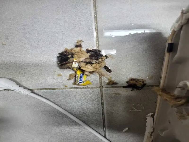 김포 물티슈가 정화조를 막는 이유
